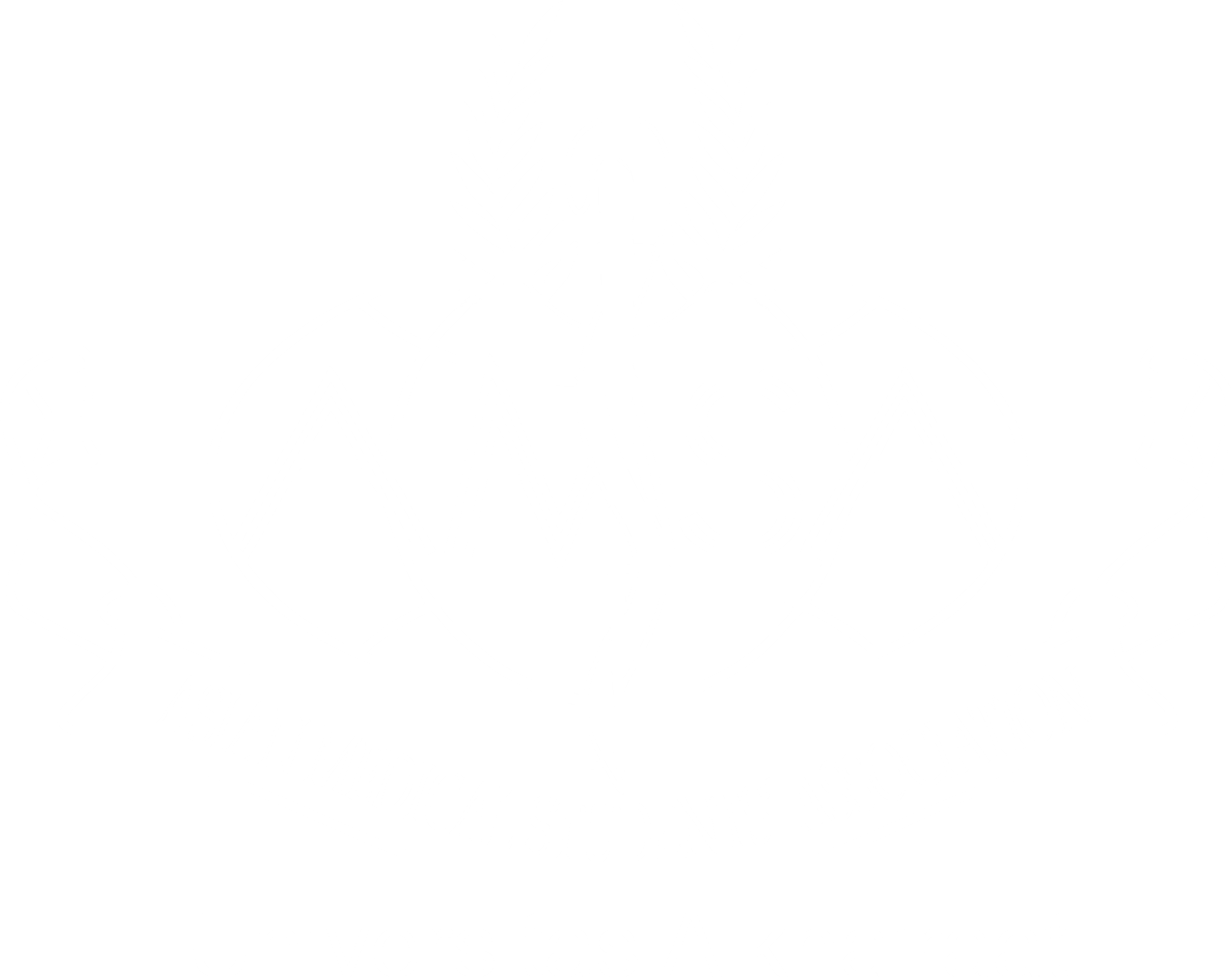 AMSA-Unisa
